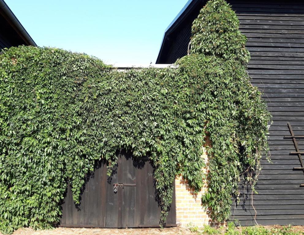 Ein Bett Im Kornfeld - Haus Fernweh - Innenpool Schonfeld  Exterior foto